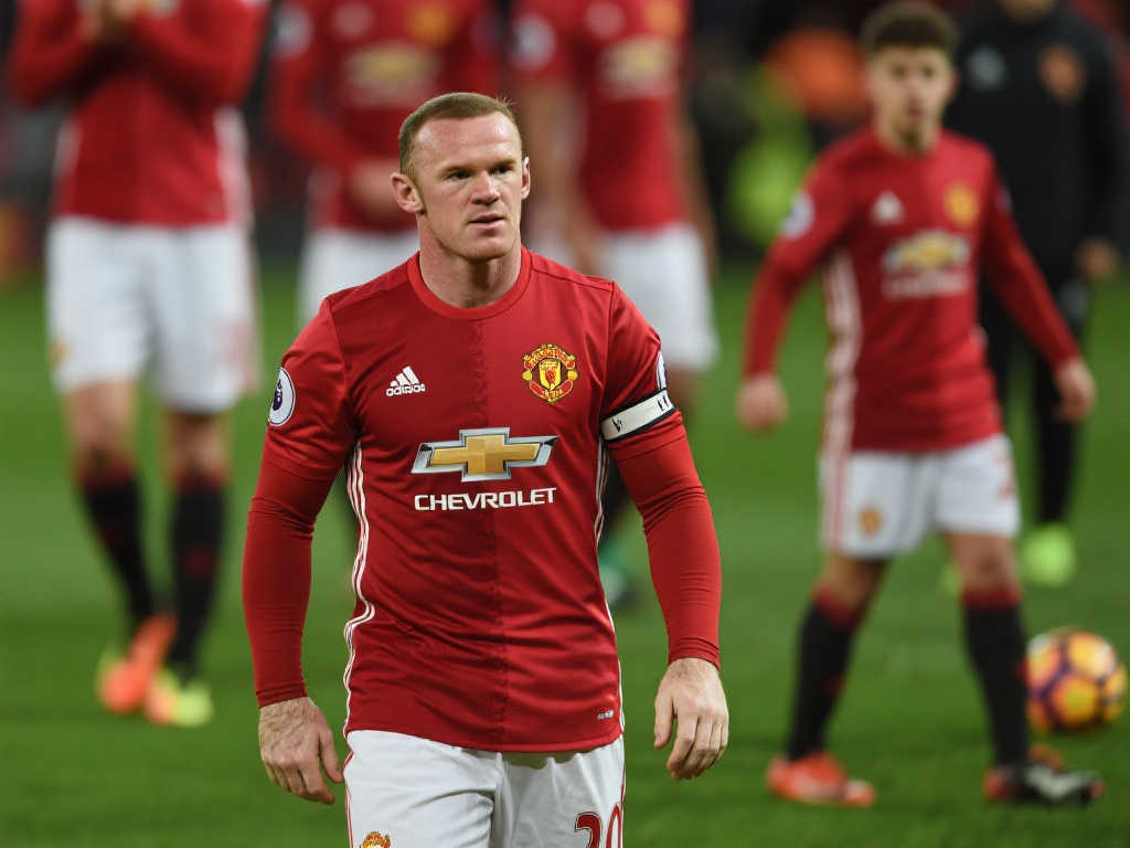 野和精准度 野和精准度